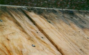 damaged plywood from moisture from bad ventilation